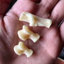 Fox Toe Bone