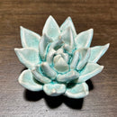 Ceramic Succulent