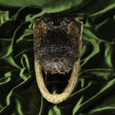 Alligator Head (12”)