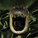 Alligator Head (12”)