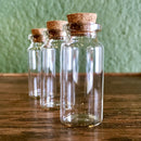 Glass Vial - 2 inches - Curious Nature