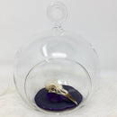 Glass Terrarium (4.5")