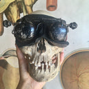 Human Skull with Hoodwink Goggles