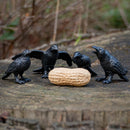 Murder of Crows