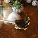 Alligator Hand Back Scratcher - Curious Nature