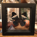 Double Glass Hamadryas Arinome - Curious Nature