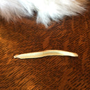 Fox Baculum Bone - Curious Nature