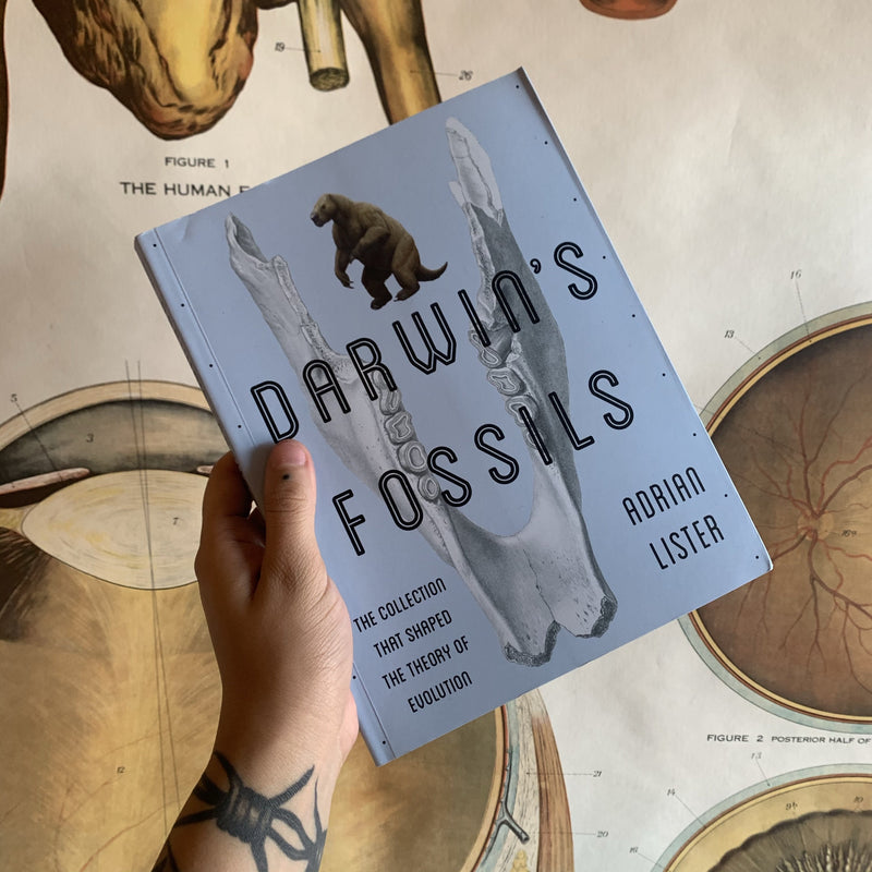 Darwin's Fossils by Adrian Lister - Curious Nature