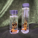 Banana Spider Wet Specimen