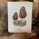 Seed Paper Greeting Card