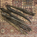 Eland Horns - Curious Nature