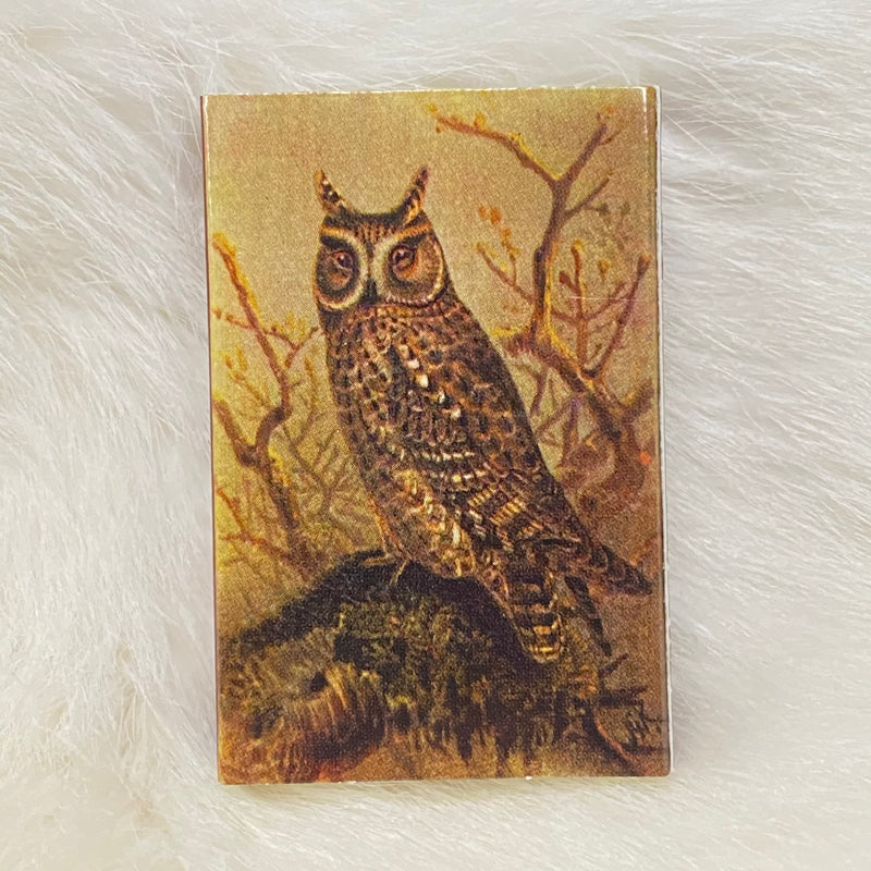 Mini Owl Matchboxes