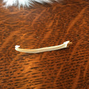 Mink Baculum Bone - Curious Nature