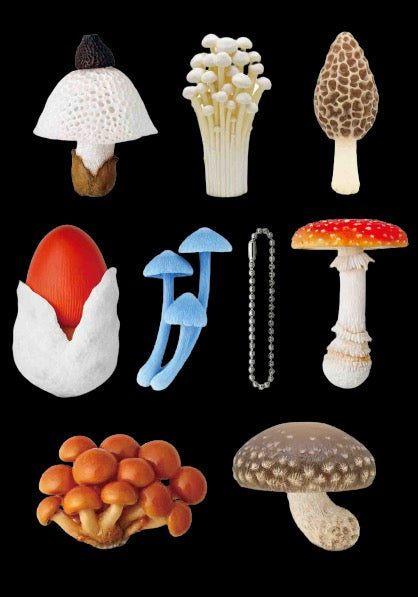 Mystery Mushroom Keychain