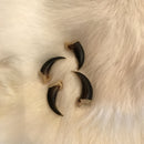 Coyote Claws - Curious Nature