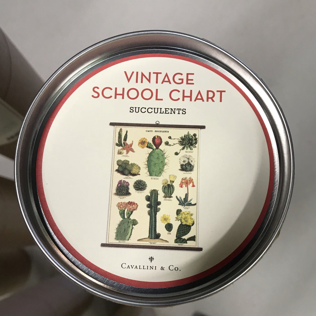 cavallini succulents Vintage School Chart- Succulents