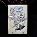 Paper Datura Moth Set