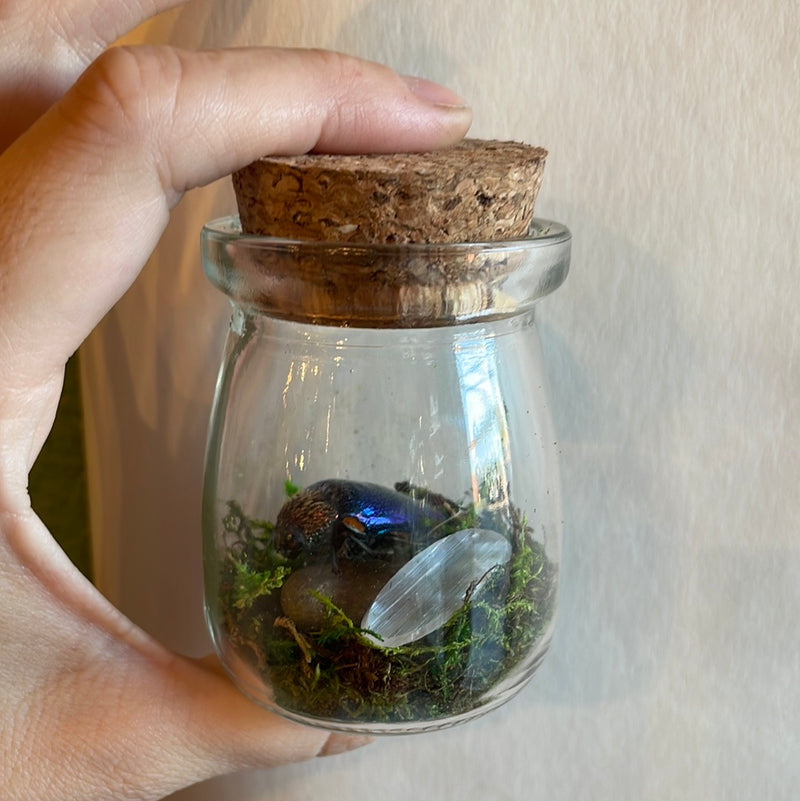 Resurrection Jar