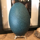 Metal Stand - Curious Nature