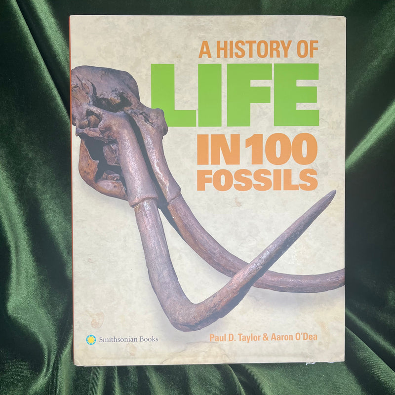 A History of Life in 100 Fossils by Paul D. Taylor & Aaron O'Dea