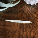 Coyote Baculum Bone - Curious Nature