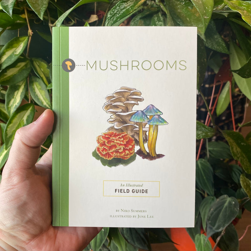 Mushrooms: An Illustrated Field Guide by Niko Summers