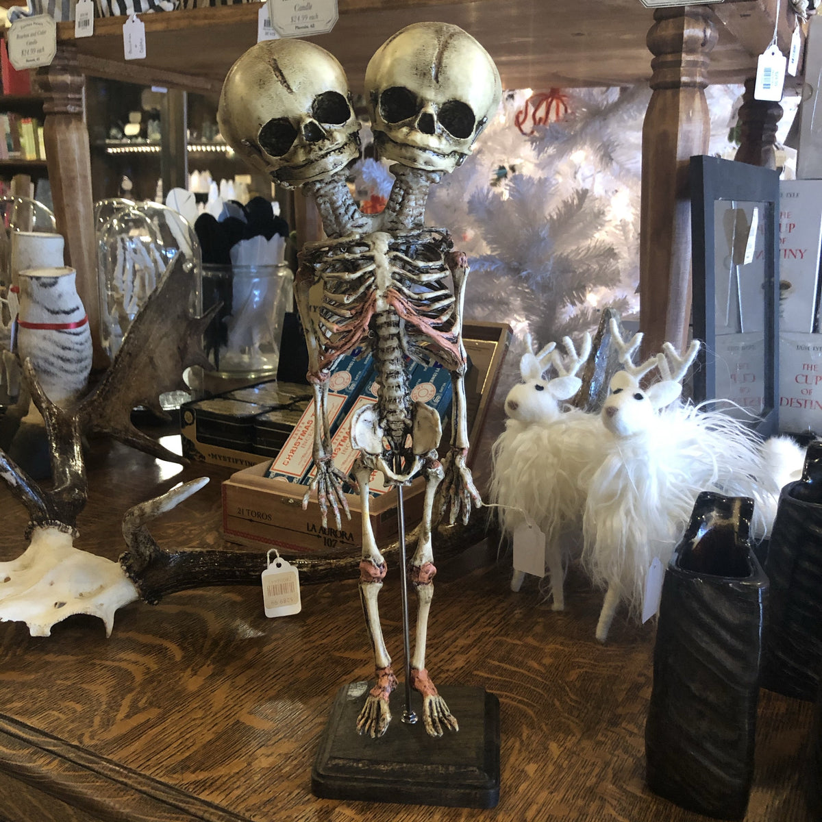 ET2 #695 skeleton最後の一本 image_390f0d27-f82c-4ac3-9c23-