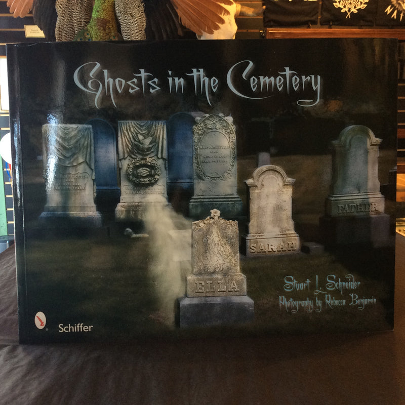 Ghosts in the Cemetery by Stuart L. Schneider