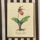 Seed Paper Greeting Card - Curious Nature