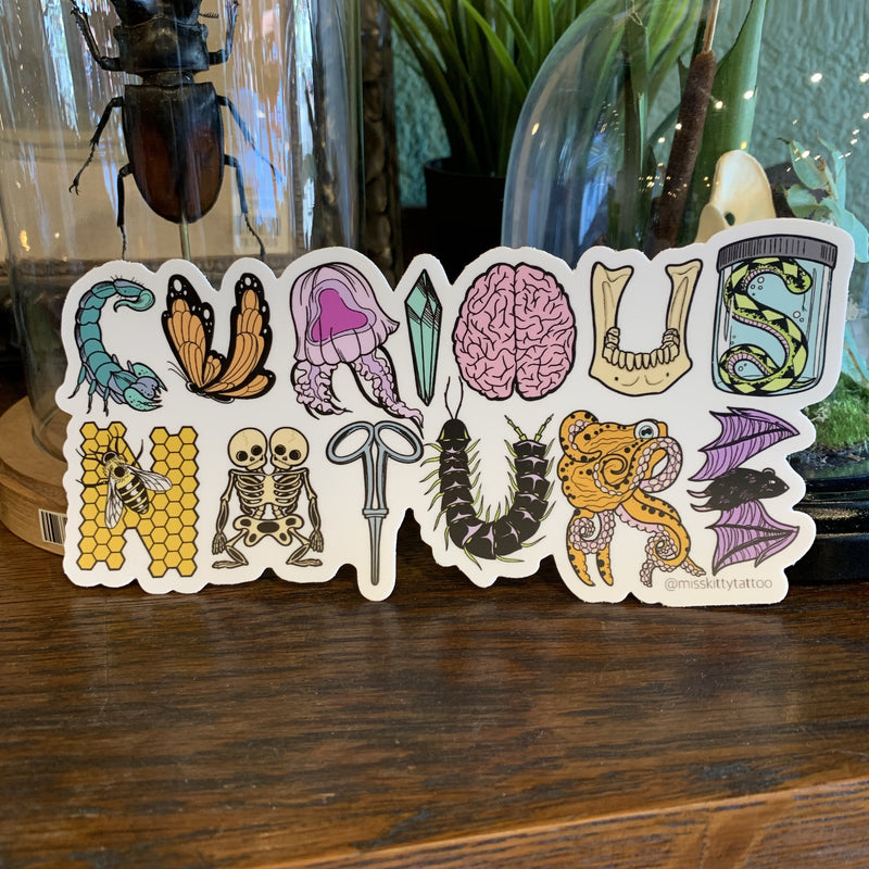 Curious Nature Bumper Sticker - Curious Nature