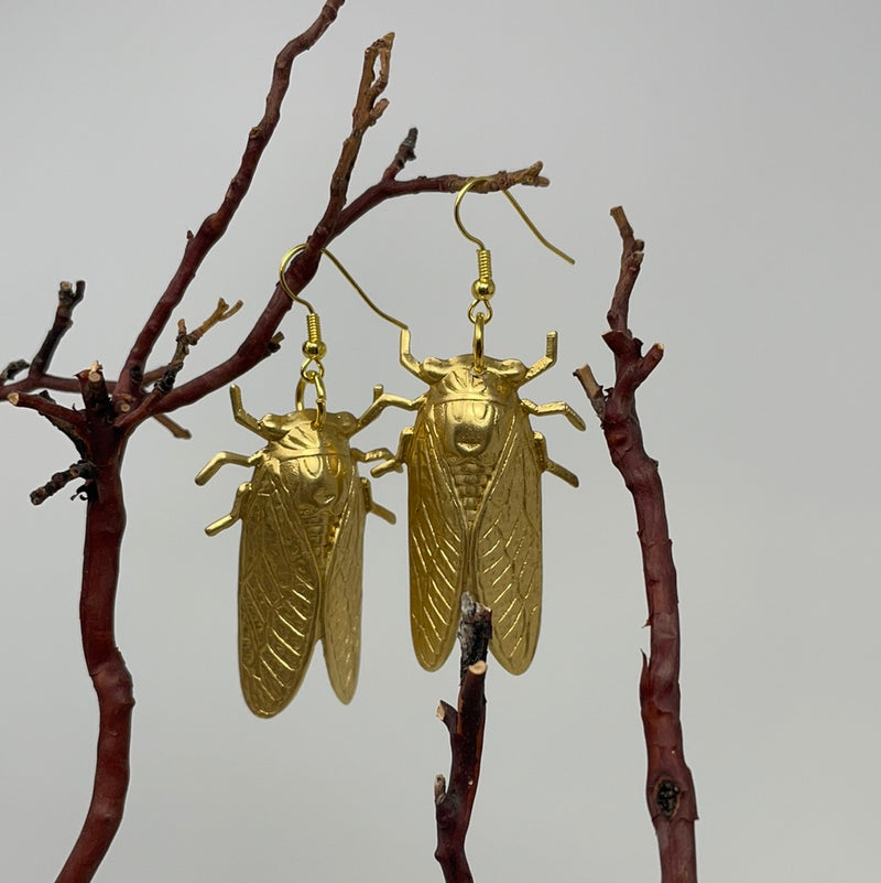 Brass Cicada Earrings