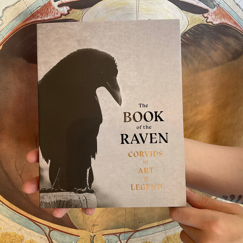 The Book of the Raven: Corvids in Art & Legend
