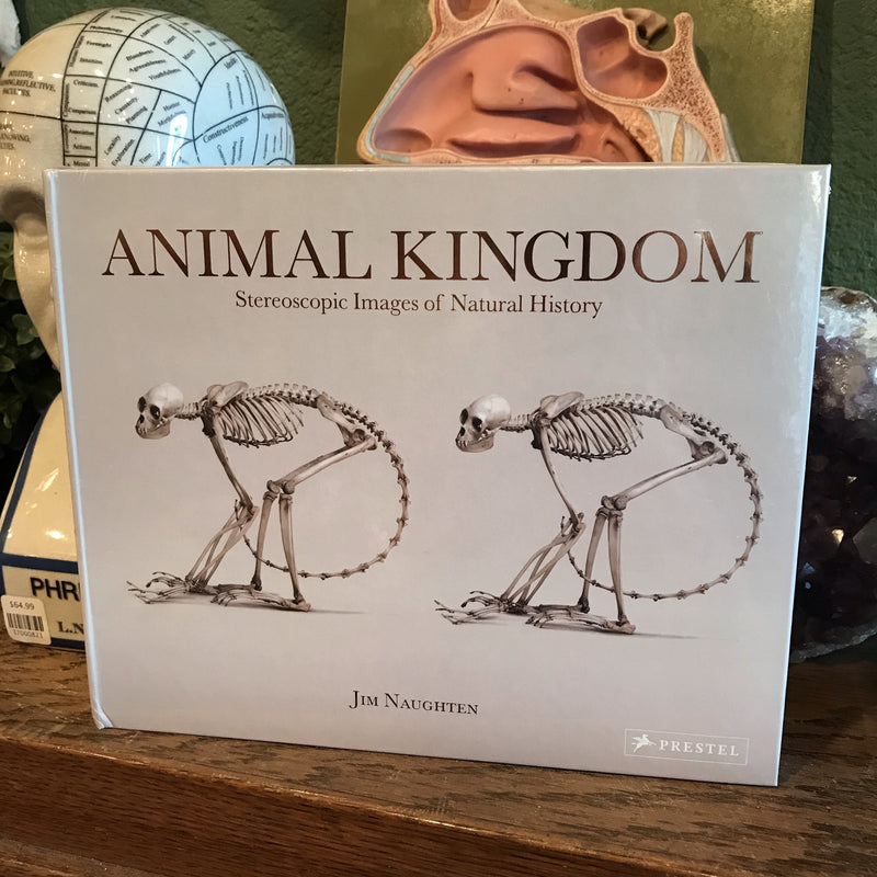 Animal Kingdom: Stereoscopic Images of Natural History by Jim Naughten - Curious Nature