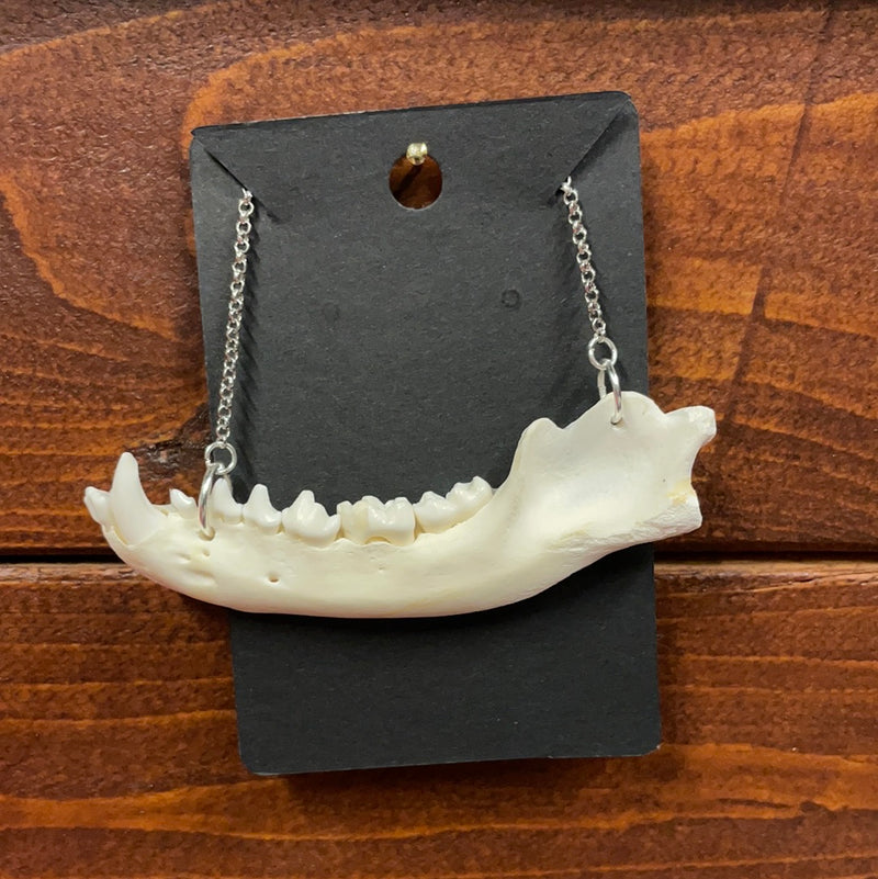 Raccoon Jaw Necklace