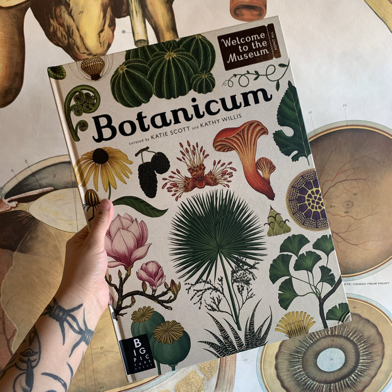 Botanicum by Katie Scott and Kathy Willis - Curious Nature