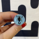 Black Bug Pen - Curious Nature