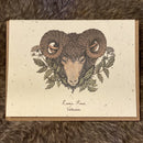 Seed Paper Greeting Card - Curious Nature