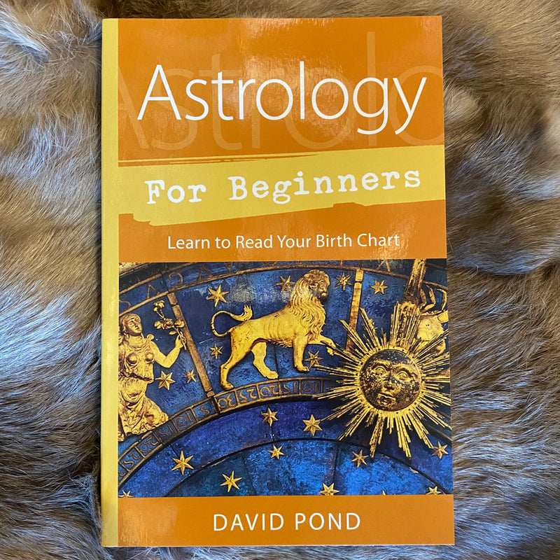 Astrology For Beginners by David Pond