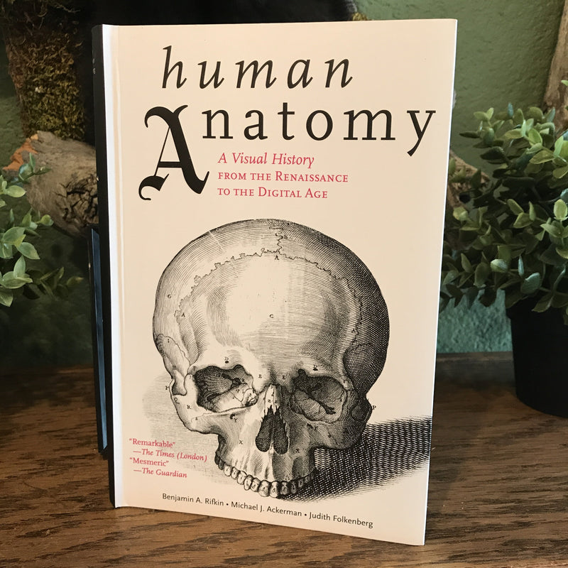 Human Anatomy: A Visual History from the Renaissance to the Digital Age - Curious Nature