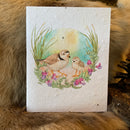 Seed Paper Greeting Card