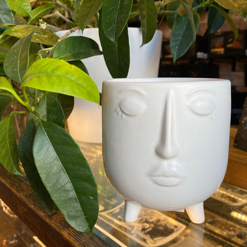 Face Planter with Feet (4")
