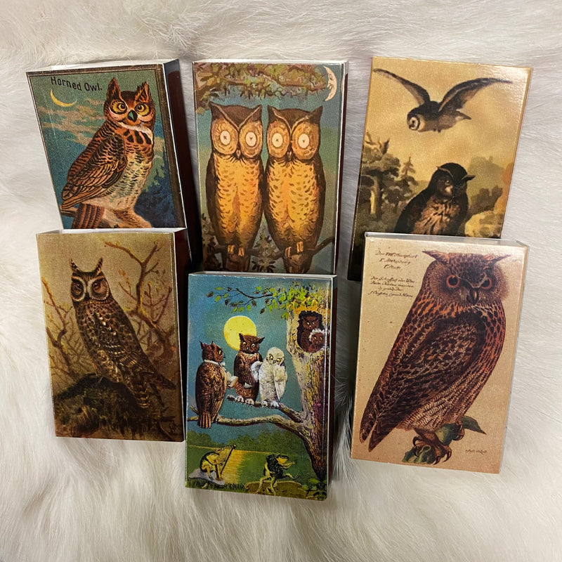 Mini Owl Matchboxes