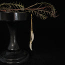 Coyote Teeth Earrings