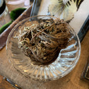 Jericho Flower - Resurrection Plant - Curious Nature