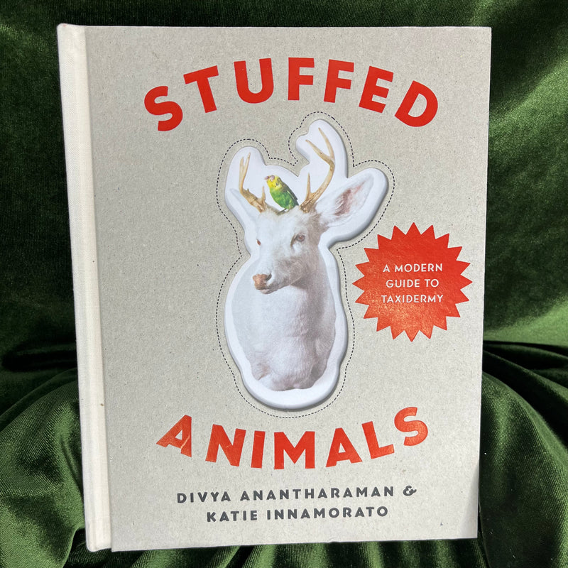 Stuffed Animals: A Modern Guide to Taxidermy by Divya Anantharaman and Katie Innamorato