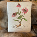 Seed Paper Greeting Card