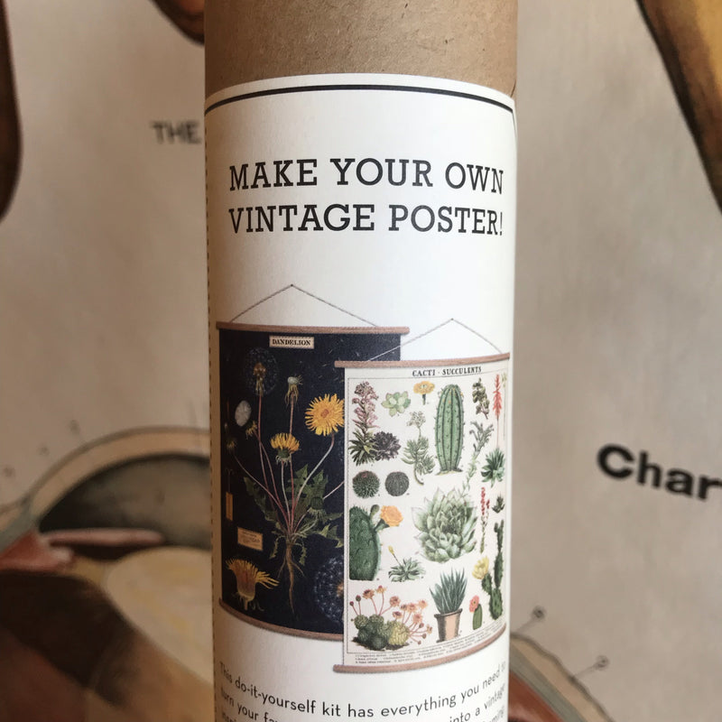 Vertical Vintage Poster Kit - Curious Nature