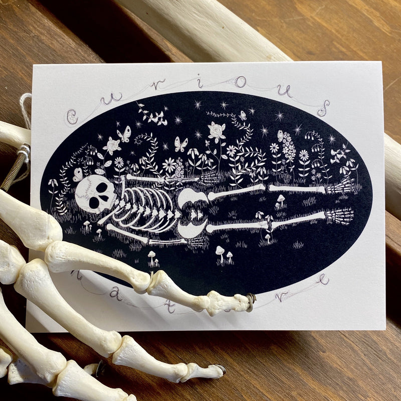 Skeleton Greeting Card - Curious Nature