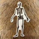 Skeleton Sticker
