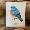 Seed Paper Greeting Card